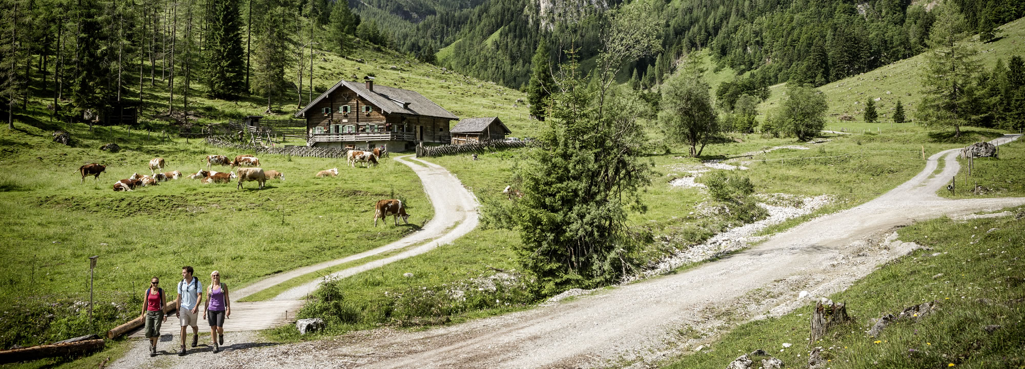 Wandern im Marbachtal in Flachau